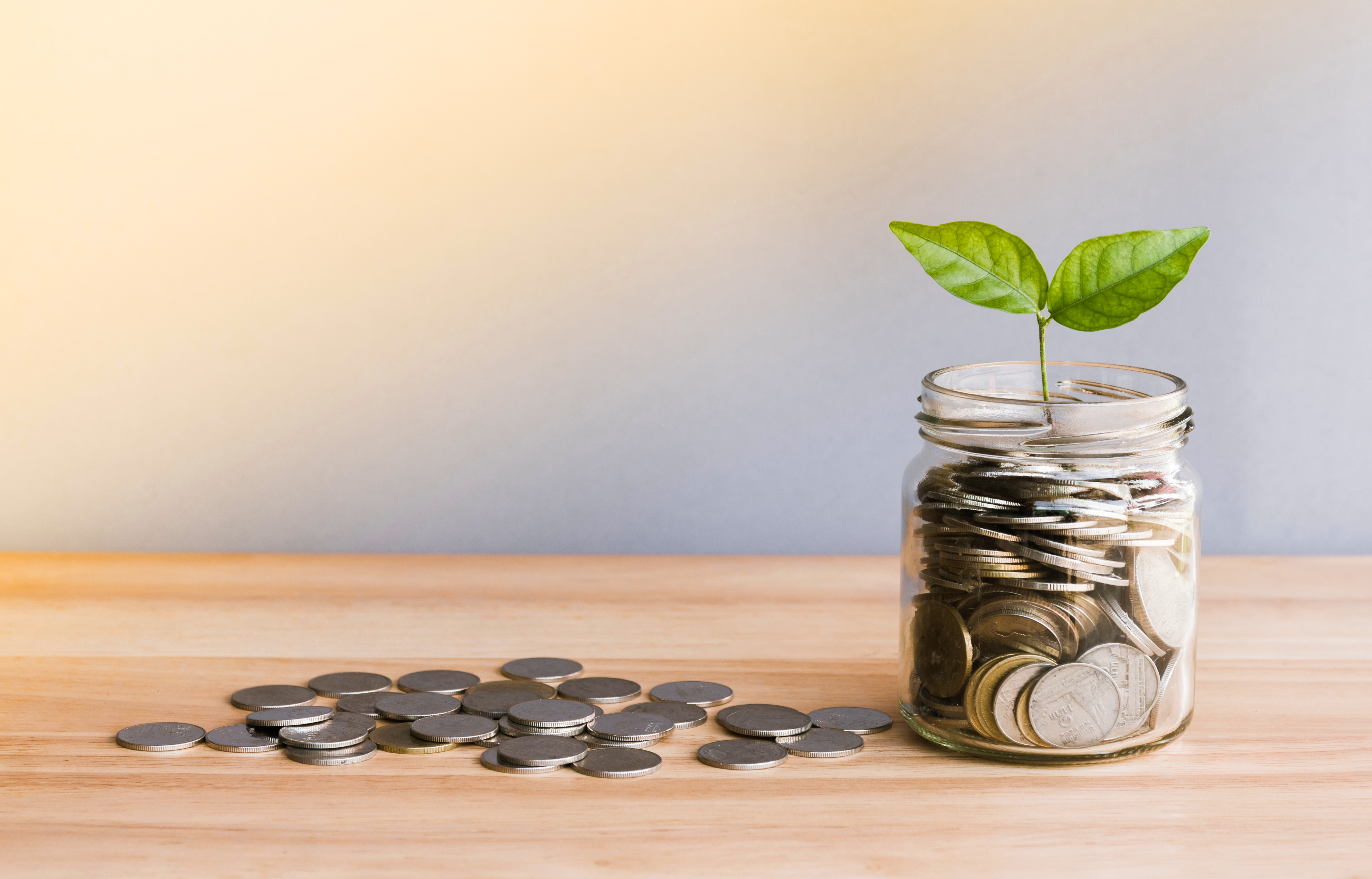 jar with coins - photo related to the financial industry