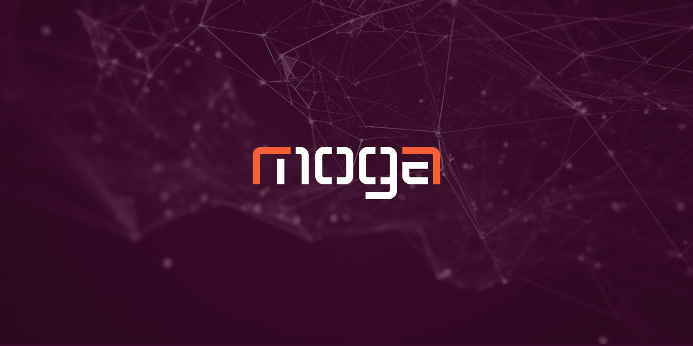 introduction photo with the logo of Moga on it